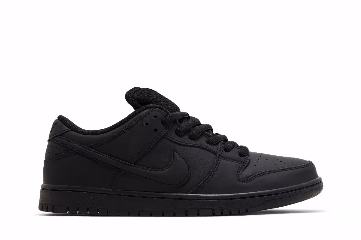 Nike Dunk Low Pro SB Triple Black, view 2