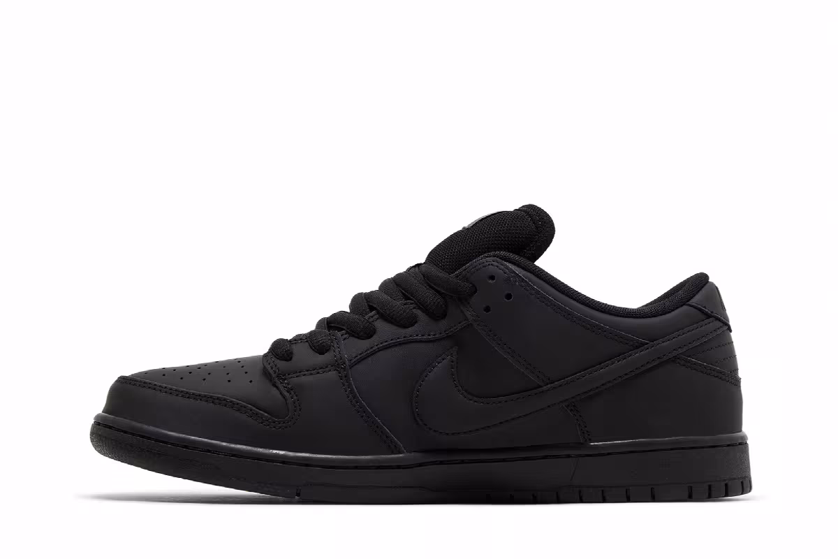 Nike Dunk Low Pro SB Triple Black, view 4
