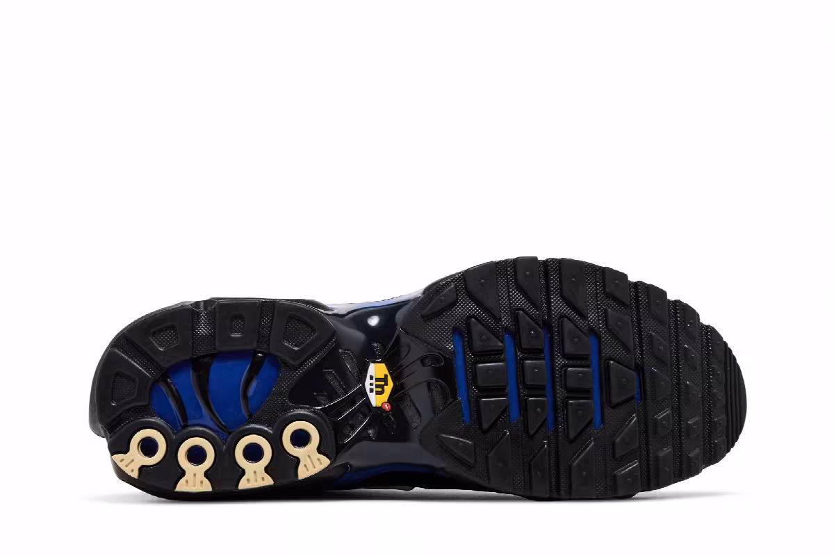 Nike Air Max Plus Premium Black Racer Blue, view 5