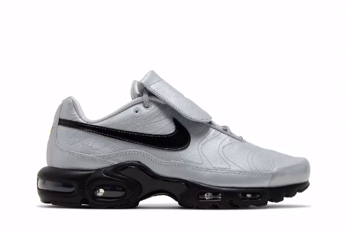 Nike Air Max Plus Tiempo Wolf Grey, view 2