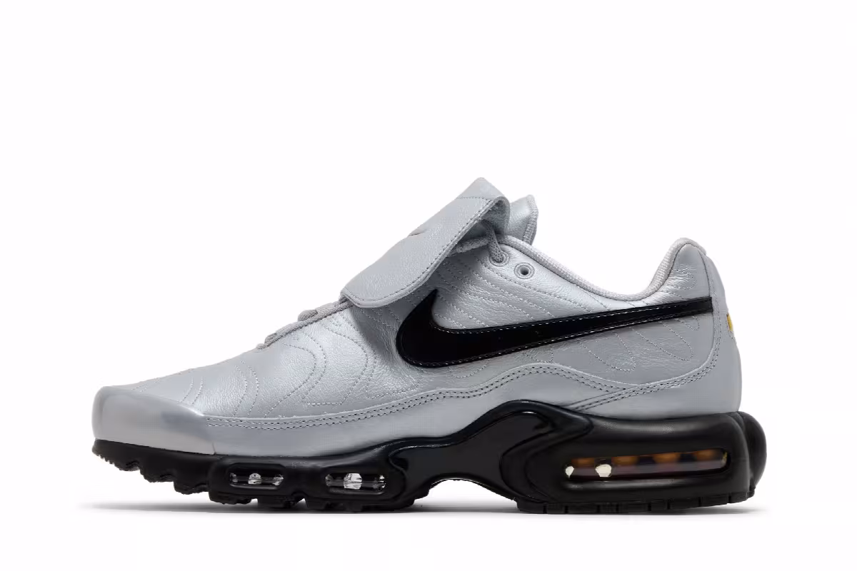Nike Air Max Plus Tiempo Wolf Grey, view 4