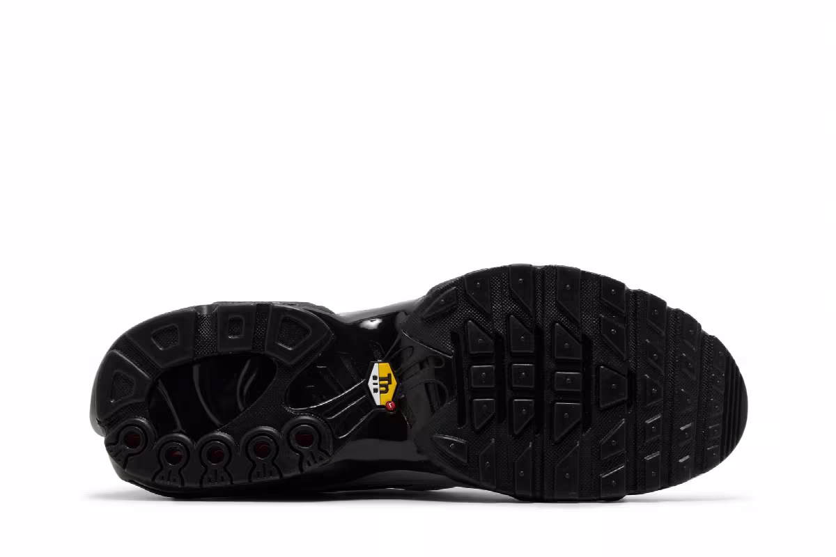 Nike Air Max Plus Tiempo Wolf Grey, view 5