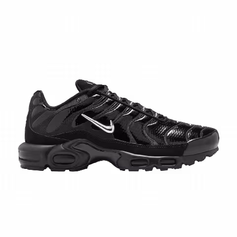 Nike Air Max Plus 'Black Chrome'