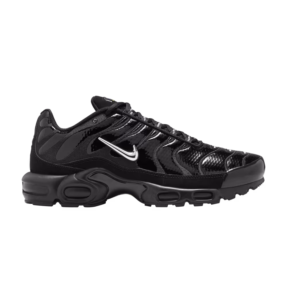 Nike Air Max Plus Black Chrome