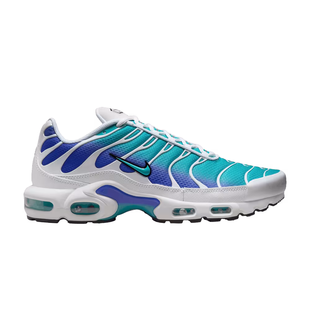 Nike Air Max Plus Dusty Cactus Persian Violet