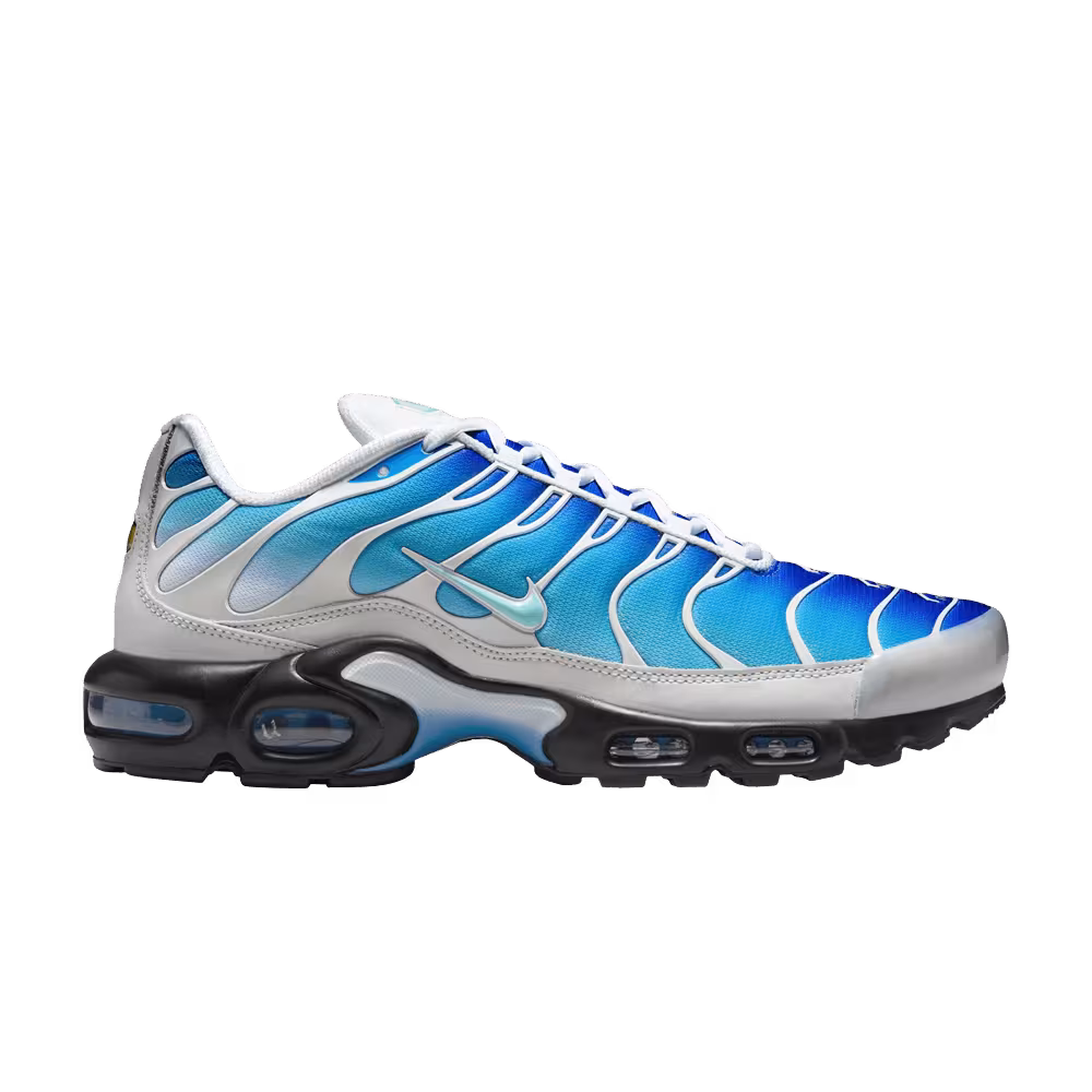 Nike One Block Down x Air Max Plus Reverse Pack - Dry Water