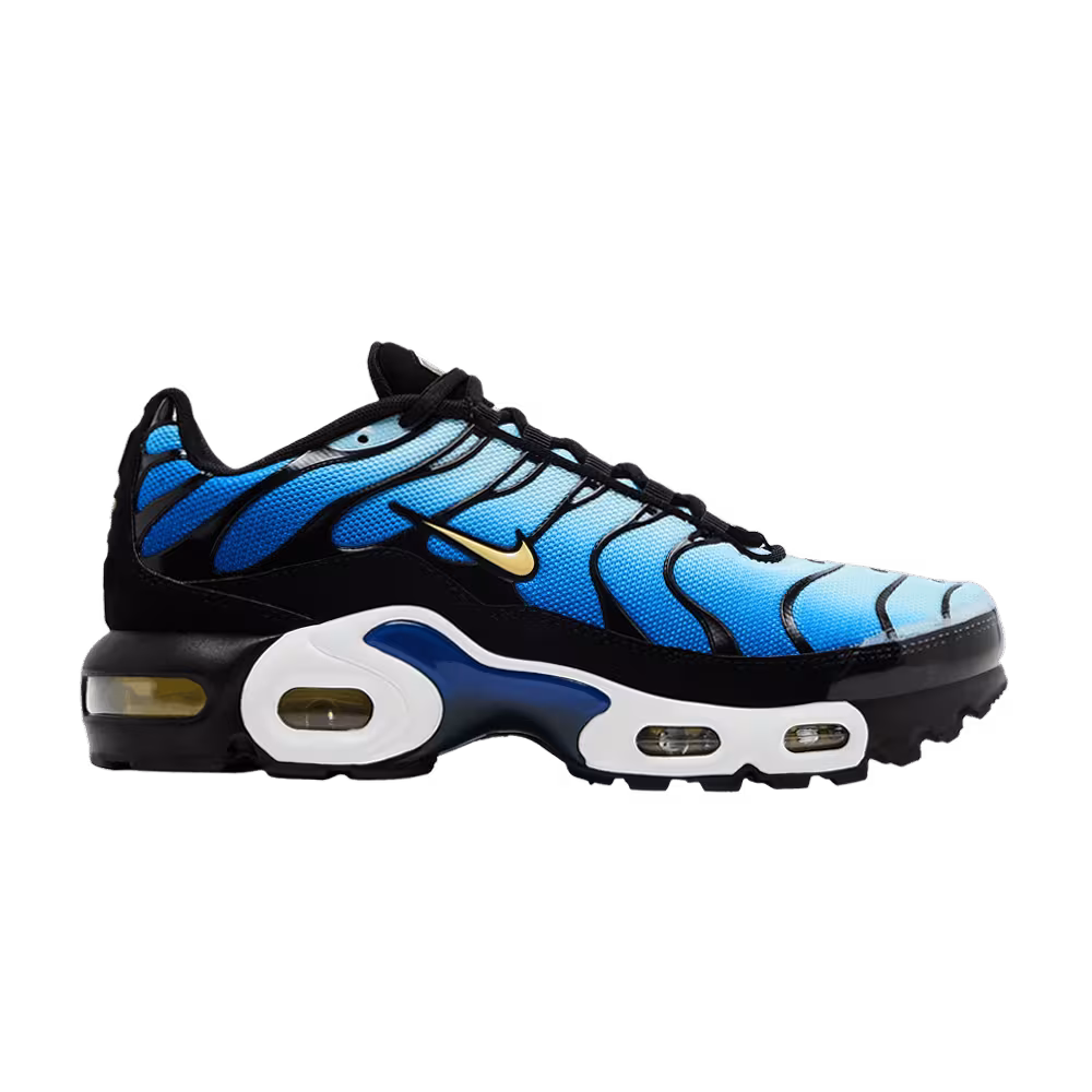 Nike Air Max Plus GS Hyper Blue 2025
