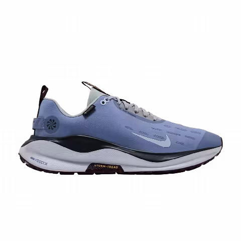 Nike ReactX Infinity Run 4 GORE-TEX 'Ashen Slate'