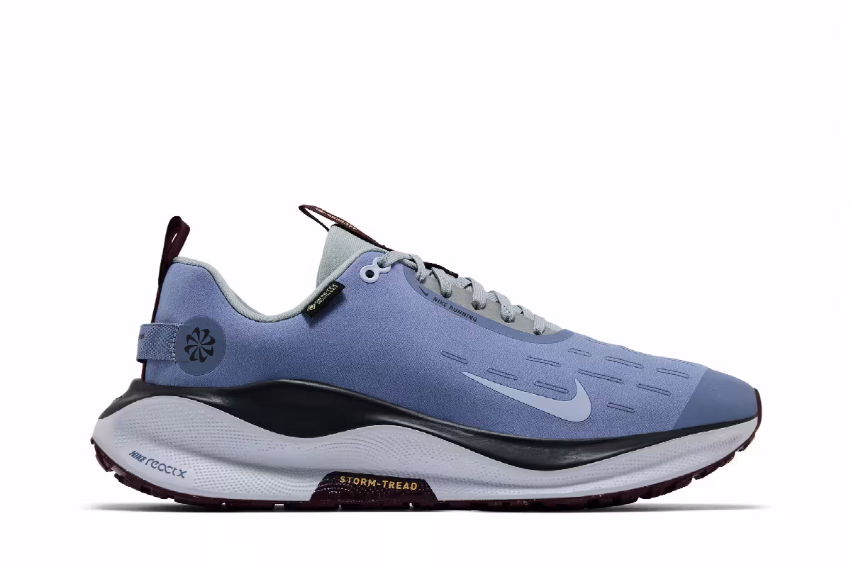 Nike ReactX Infinity Run 4 GORE-TEX Ashen Slate, view 2