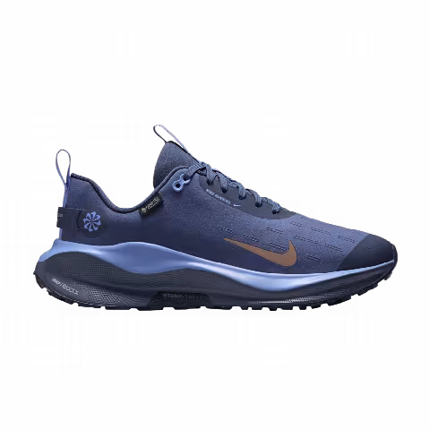 Nike Wmns ReactX Infinity Run 4 GORE-TEX 'Thunder Blue Metallic Red Bronze'