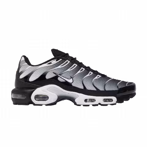 Nike Air Max Plus 'Black Metallic Silver'