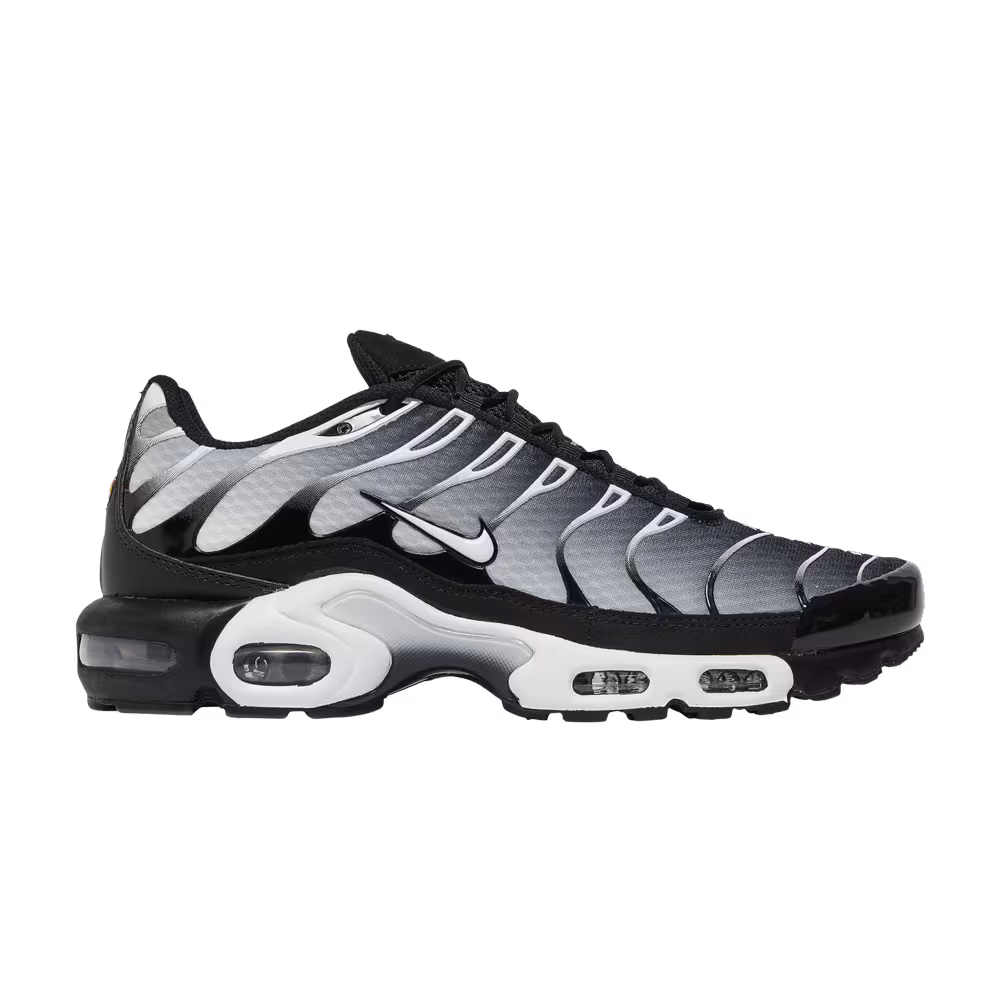 Nike Air Max Plus Black Metallic Silver