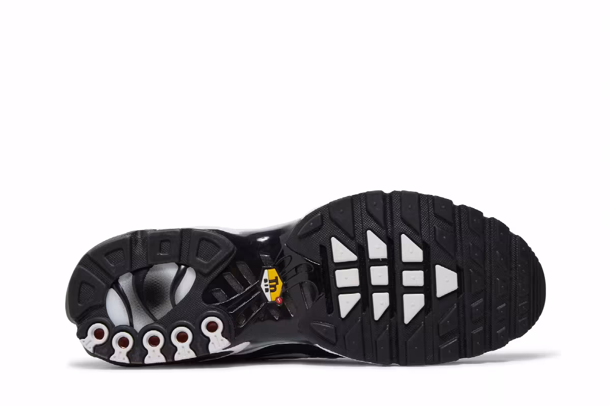 Nike Air Max Plus Black Metallic Silver, view 5