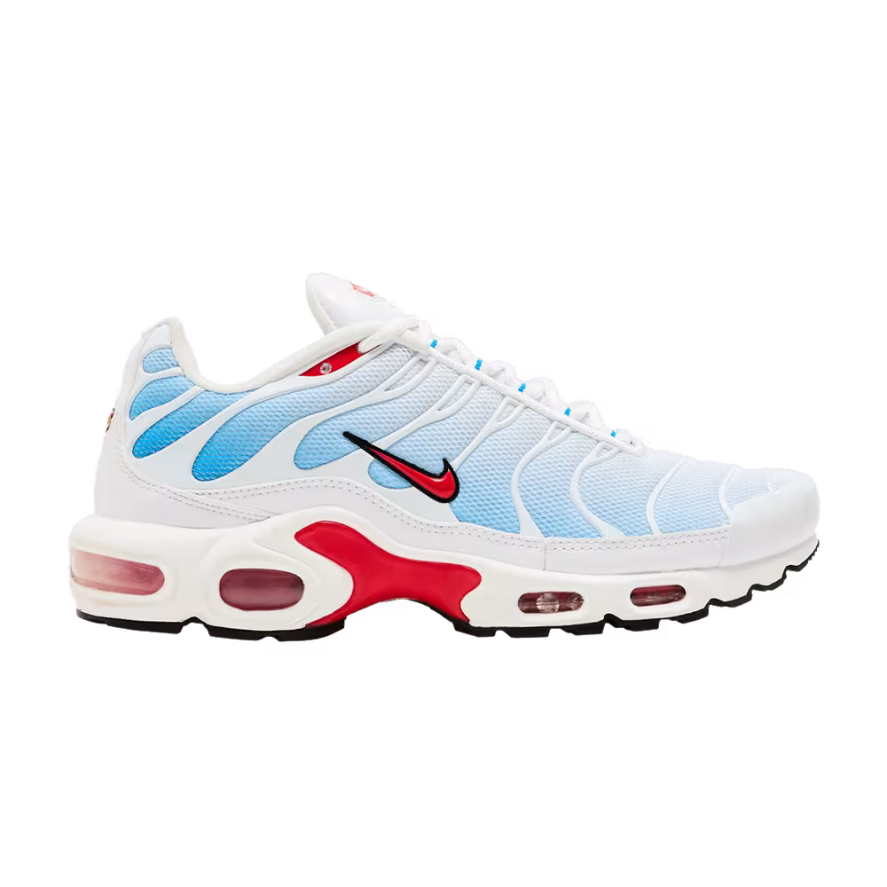Nike Air Max Plus Tide 2022