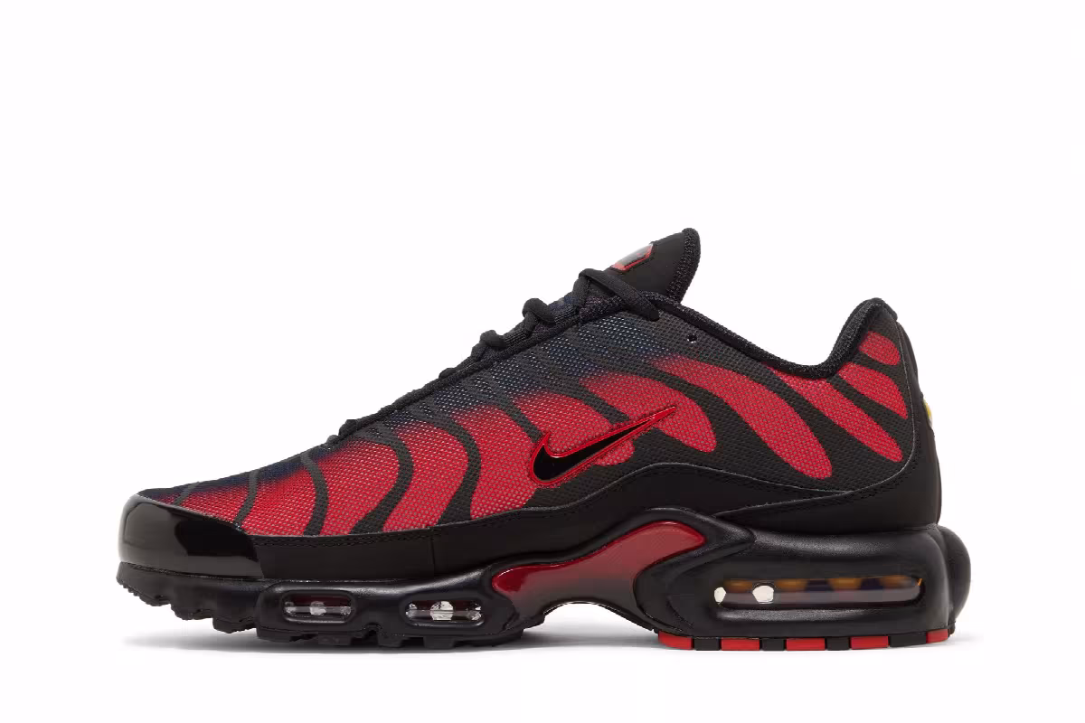 Nike Air Max Plus Bred Reflective, view 4