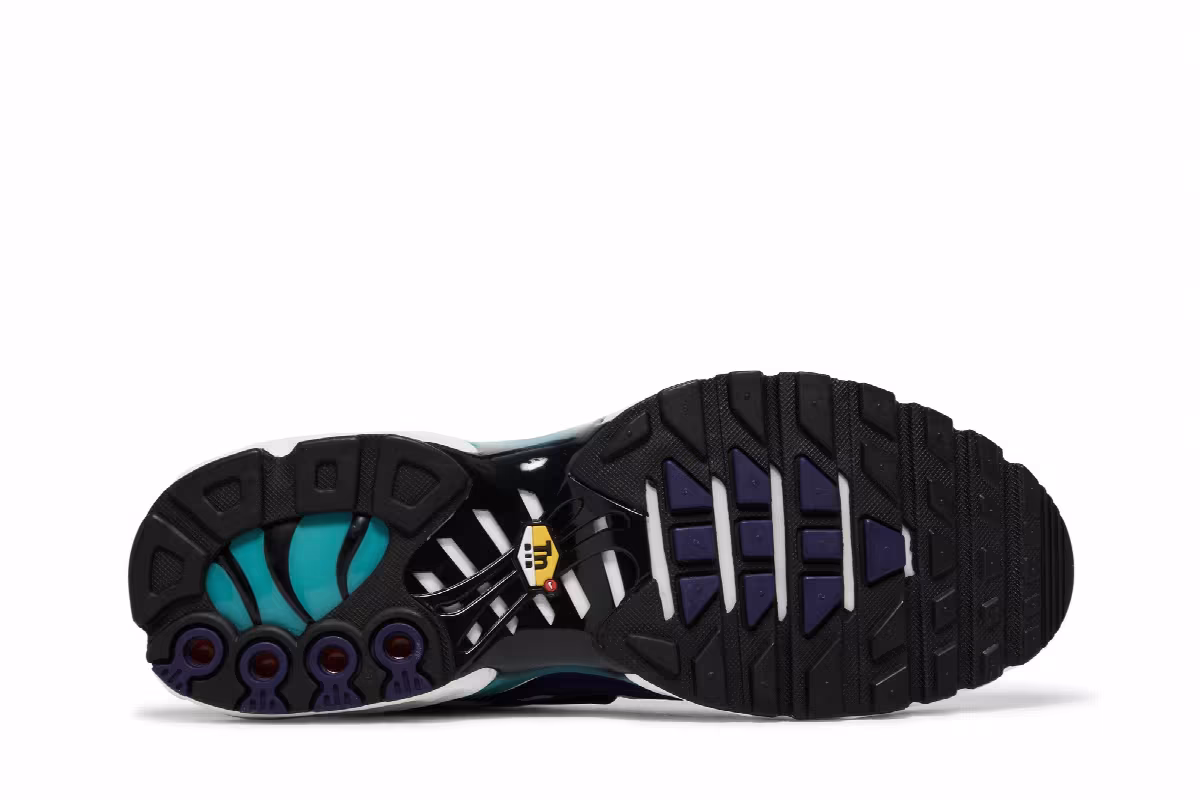 Nike Air Max Plus Grape, view 5