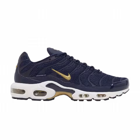 Nike Air Max Plus 'French Football Federation'