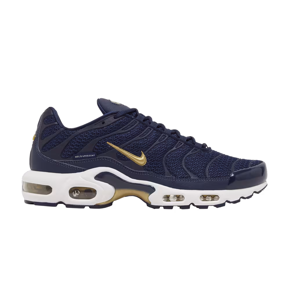 Nike Air Max Plus French Football Federation