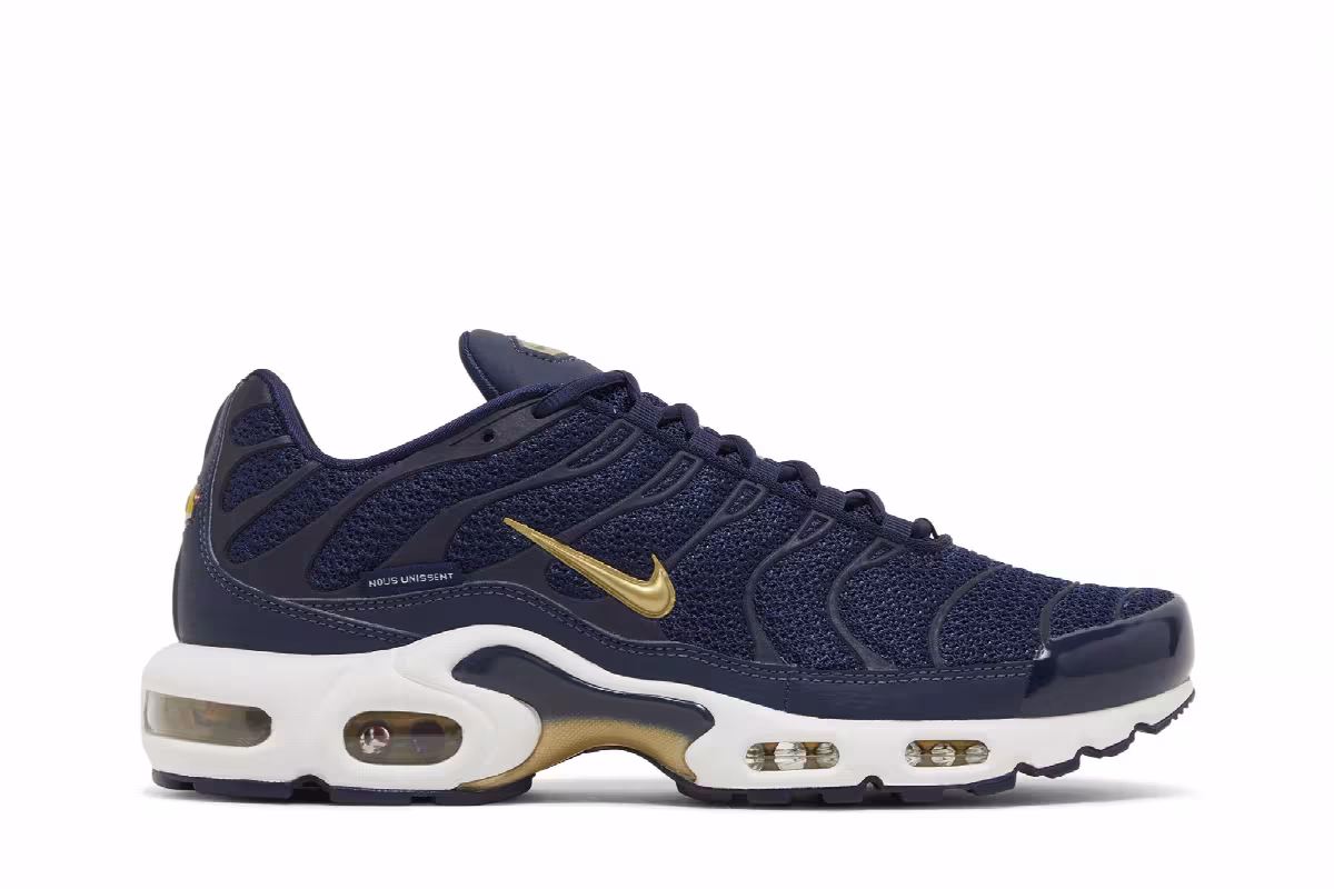 Nike Air Max Plus French Football Federation, view 2