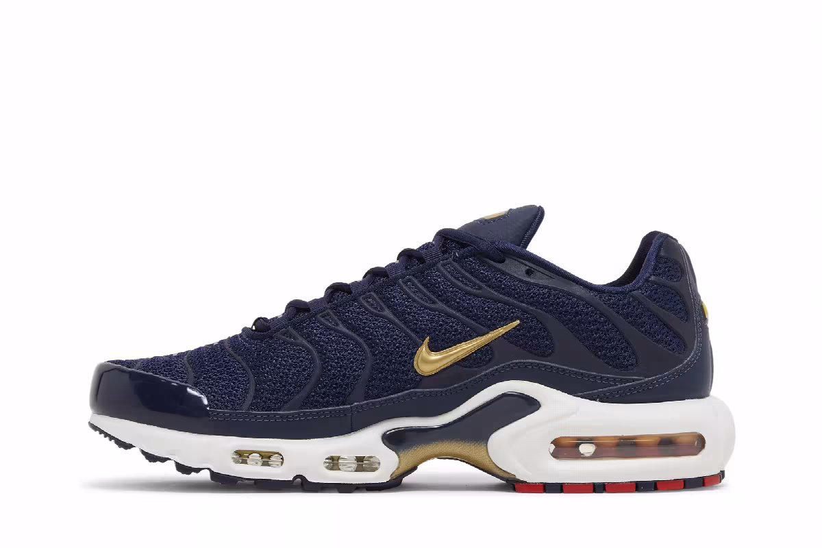 Nike Air Max Plus French Football Federation, view 4
