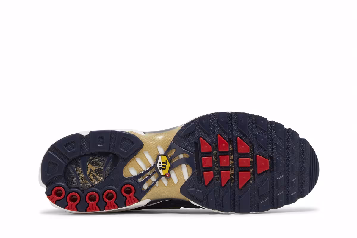 Nike Air Max Plus French Football Federation, view 5