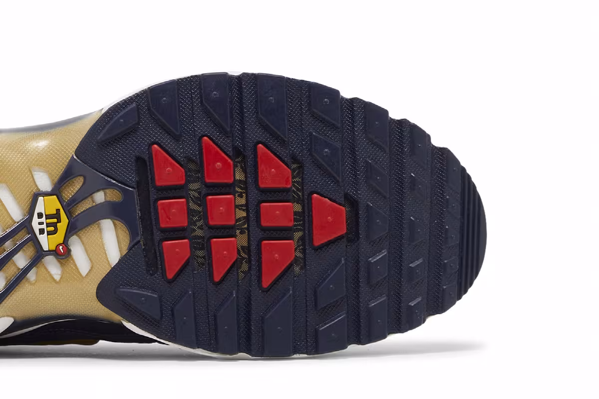 Nike Air Max Plus French Football Federation, view 6