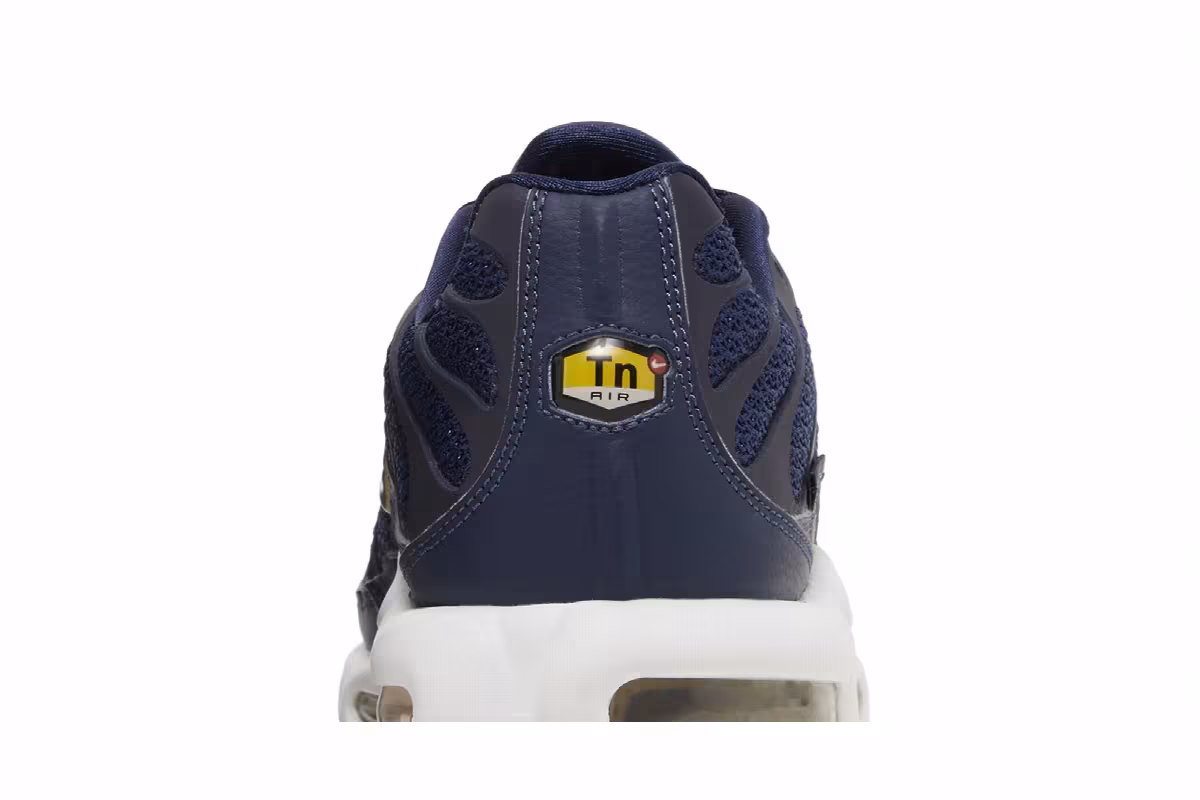 Nike Air Max Plus French Football Federation, view 8