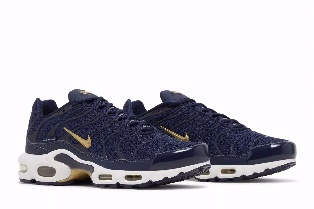 Nike Air Max Plus French Football Federation, view 9