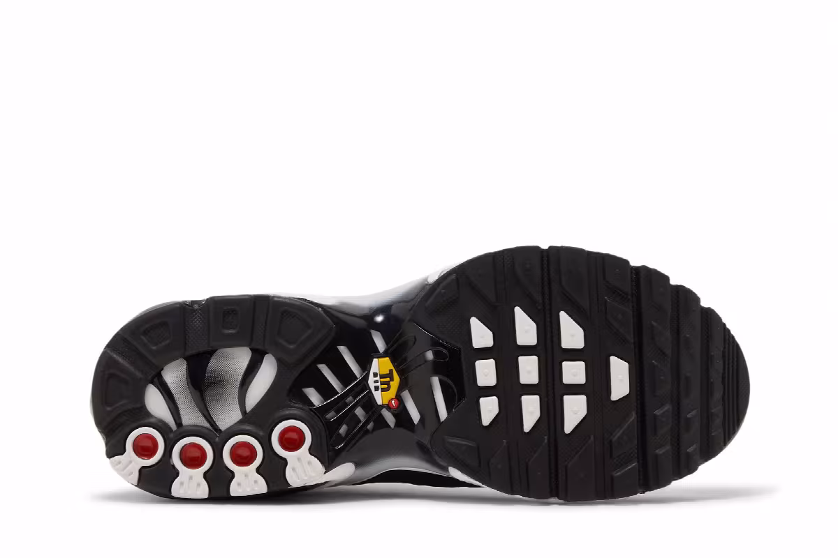 Nike Air Max Plus GS Black Metallic Silver, view 5