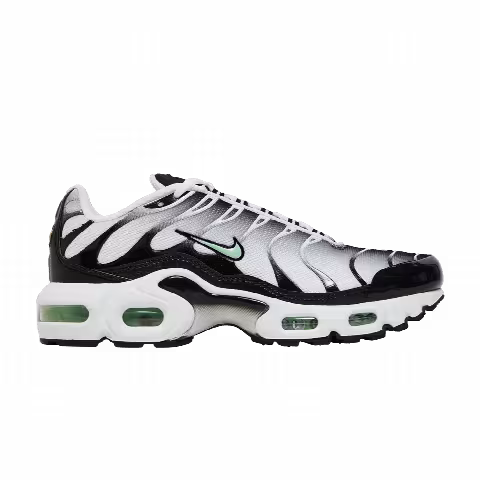 Nike Air Max Plus GS 'White Reflect Silver Fresh Mint'