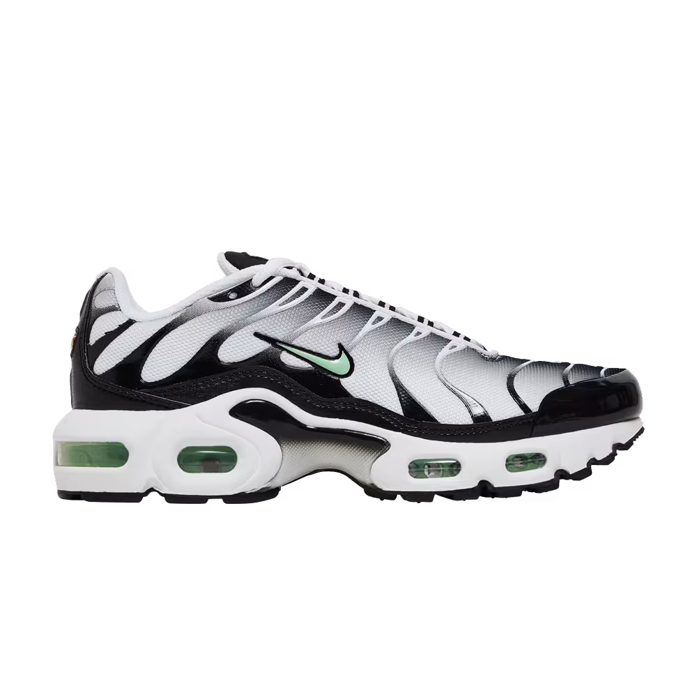 Nike Air Max Plus GS White Reflect Silver Fresh Mint