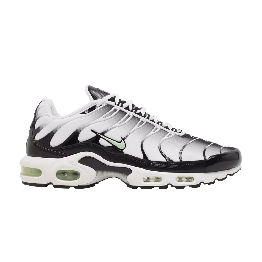 Nike Air Max Plus Seafoam