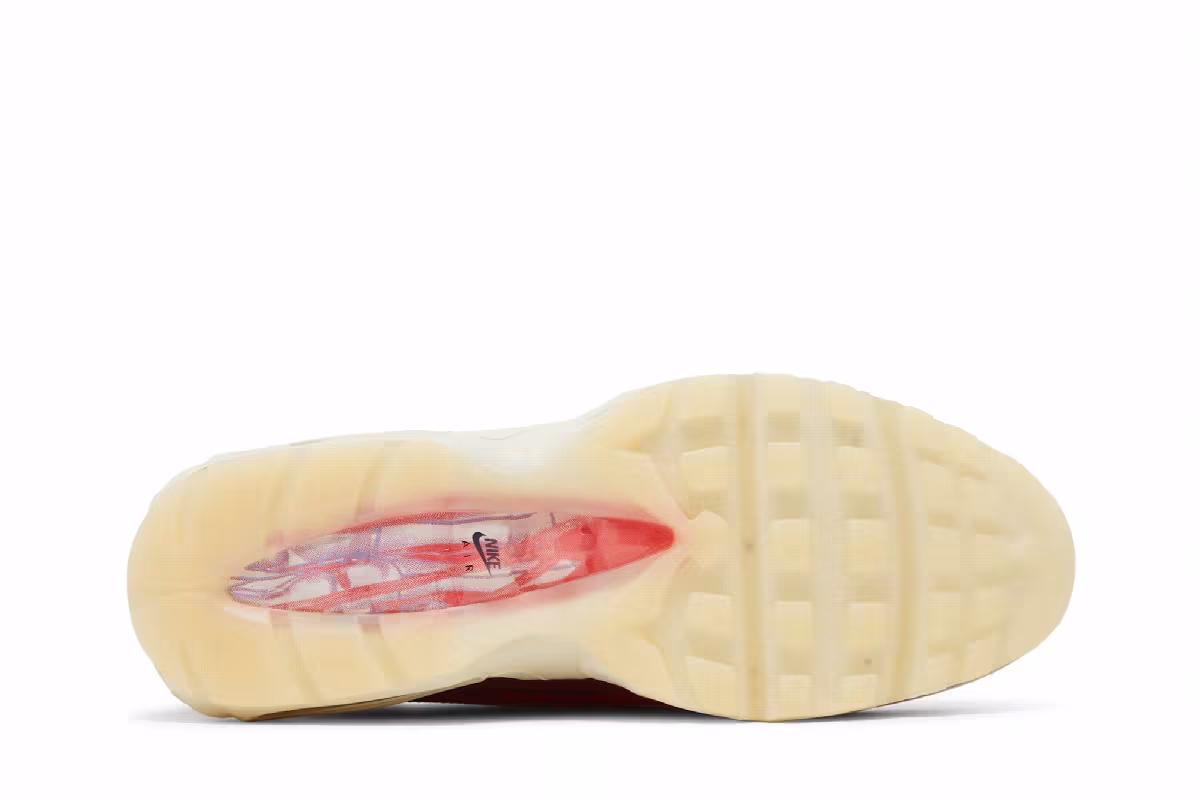 Nike Air Max 95 Anatomy Of Air, view 5