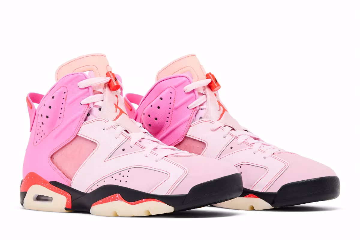 Awake NY x Air Jordan 6 Bubblegum, view 9