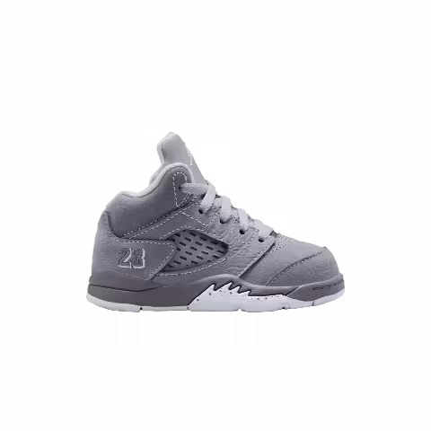 Air Jordan 5 Retro TD 'Wolf Grey' 2026