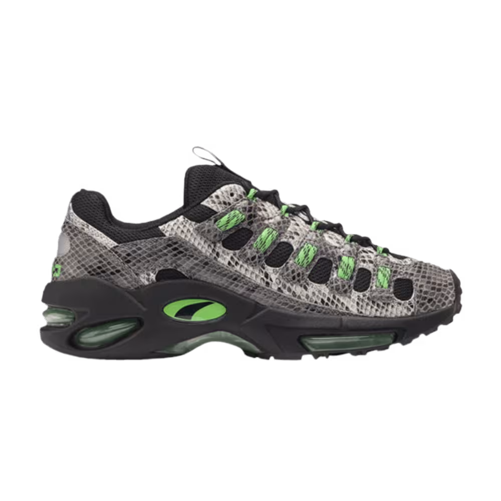Puma Cell Endura Animal Kingdom