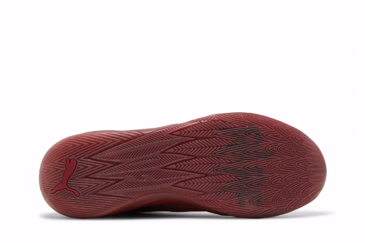 Puma MB.02 Phoenix, view 5