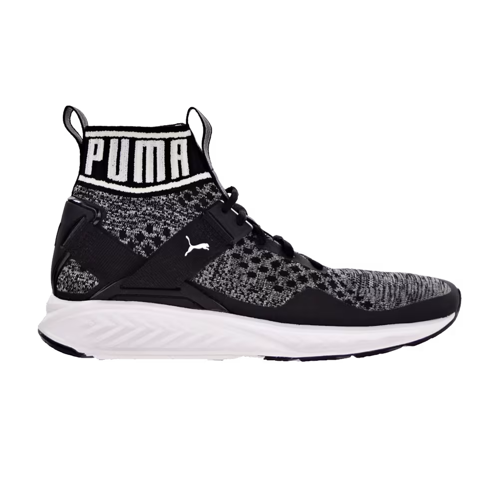 Puma Ignite evoKnit Black