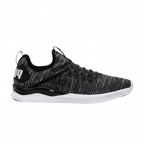 Puma Ignite Flash EvoKnit 'Black Asphalt'