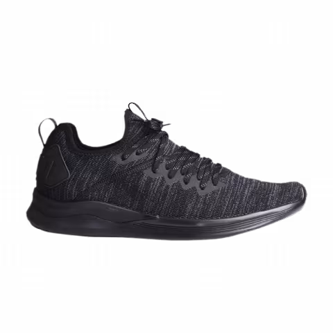 Puma Ignite Flash EvoKnit 'Black Asphalt'