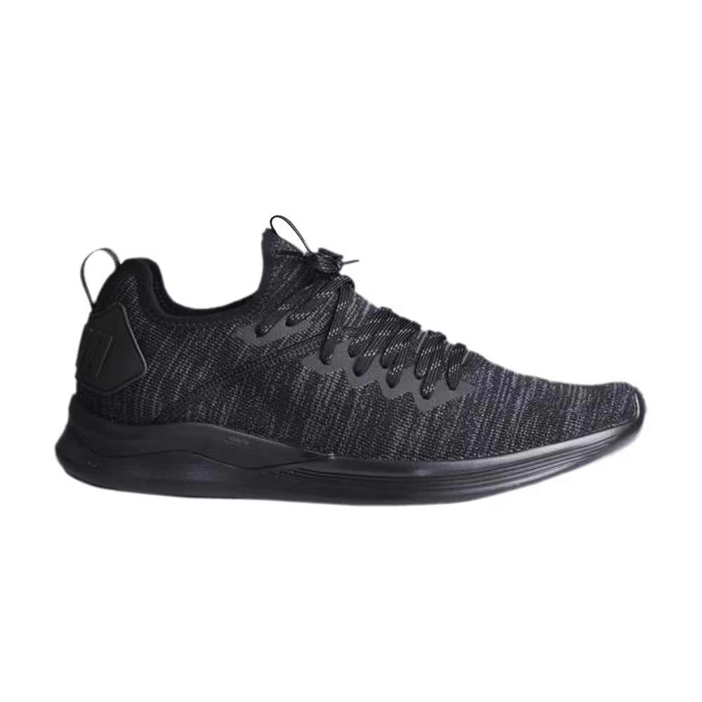 Puma Ignite Flash EvoKnit Black Asphalt