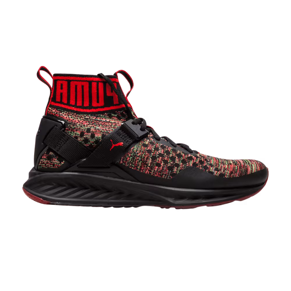 Puma Ignite Evoknit Multicolor