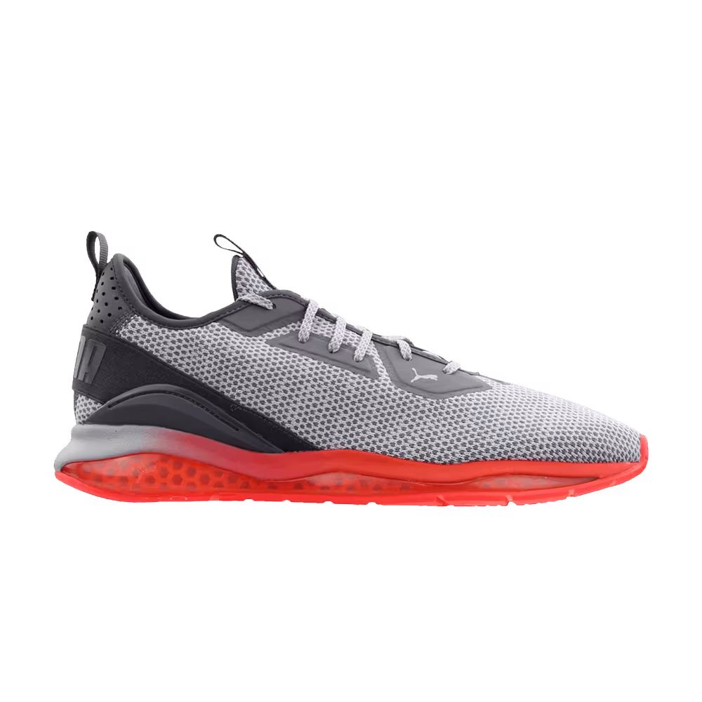 Puma Cell Descend Northern Lights