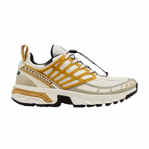 Salomon ACS Pro GORE-TEX 'Icicle Antelope'