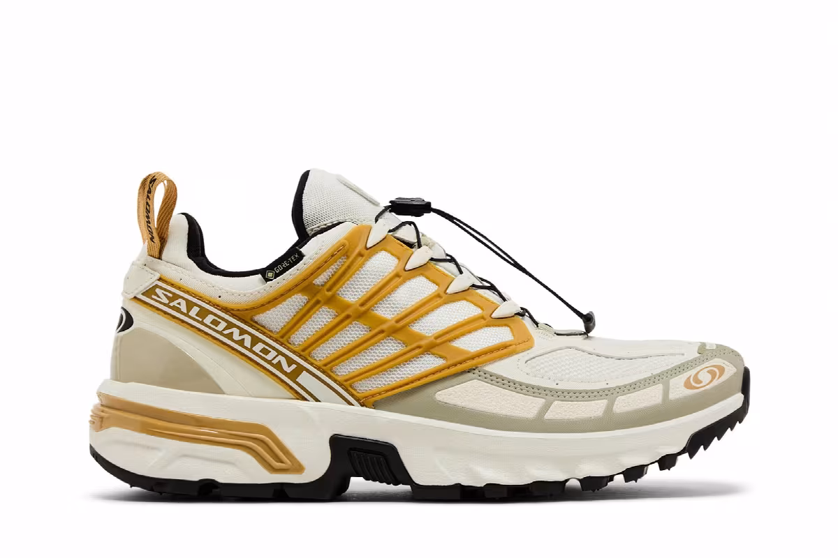 Salomon ACS Pro GORE-TEX Icicle Antelope, view 2