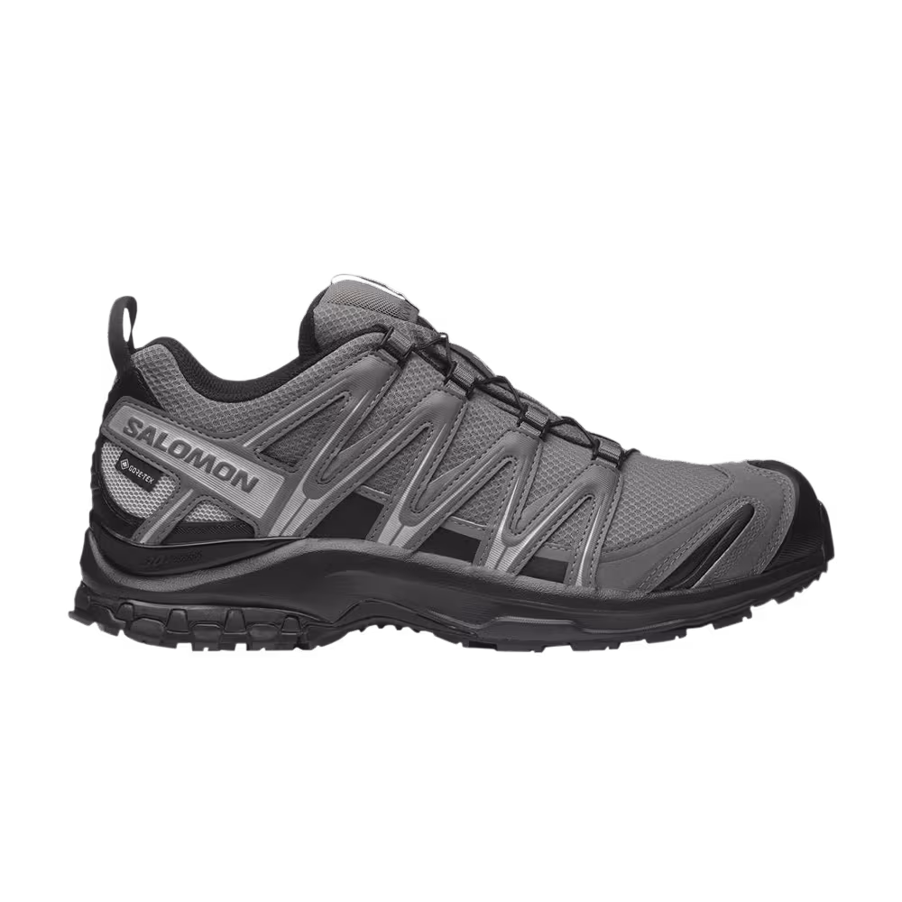 Salomon XA Pro 3D GORE-TEX Pewter Silver Cloud