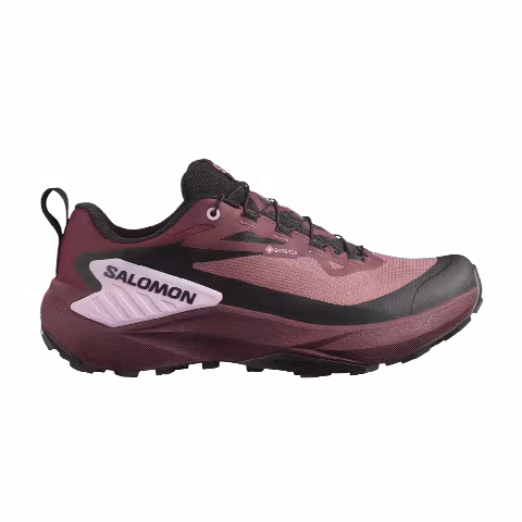 Salomon Wmns Genesis GORE-TEX 'Rose Taupe'