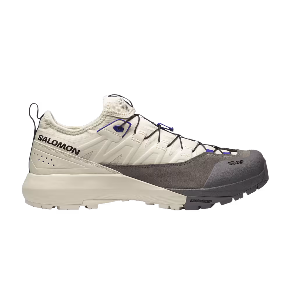 Salomon Alpinway Advanced Almond Milk Plum Kitten