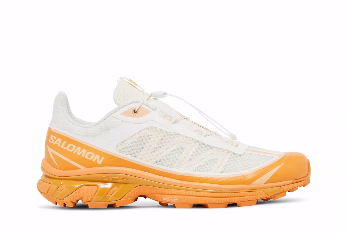 Salomon XT-6 FT Vanilla Ice Hazelnut, view 2