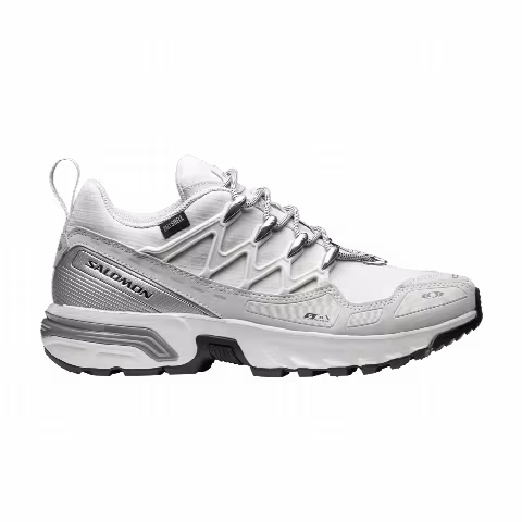 Salomon ACS+ OG CSWP 'Lunar Rock Silver Metallic'